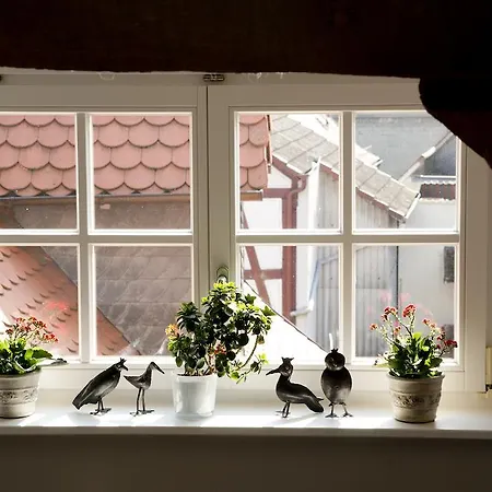 Отель Und Weber Amoeneburg