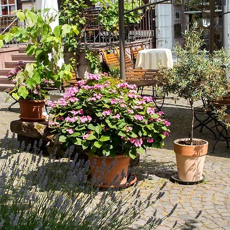 Und Weber Amoeneburg